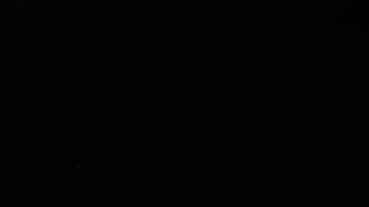 Stock Video Mix Of Vegetable Slice Animated Wallpaper