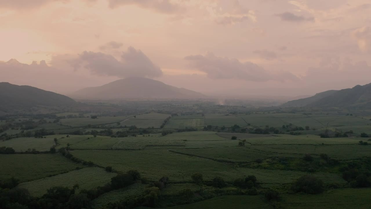 Stock Video Misty Sunrise Over Green Field Animated Wallpaper