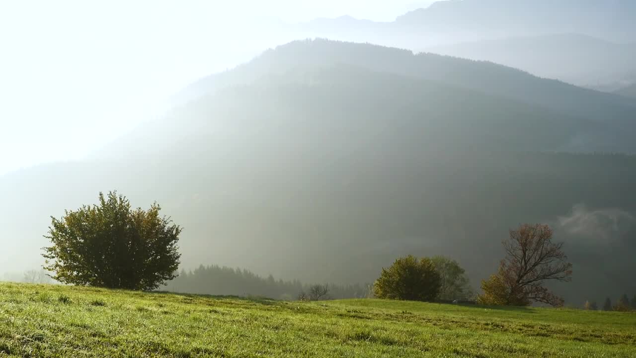 Stock Video Misty Morning In The Top Of The Hil Animated Wallpaper