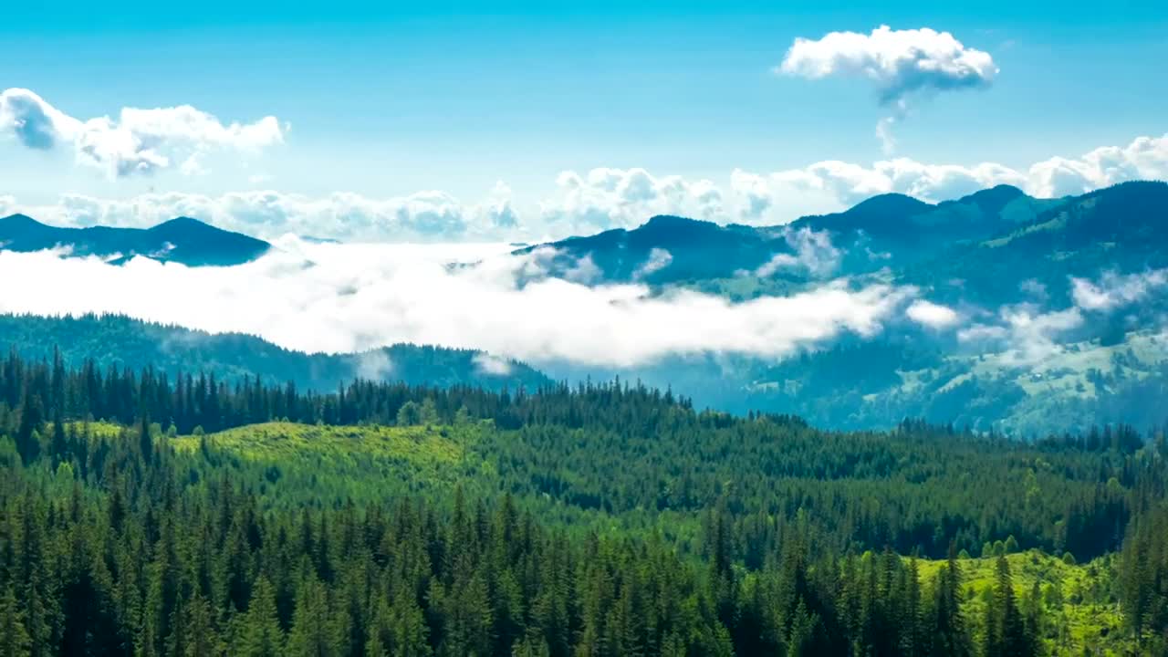 Stock Video Misty Morning In The Mountains Time Laps Animated Wallpaper