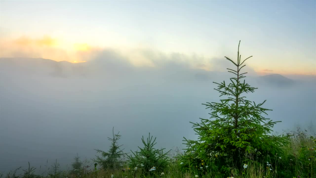 Stock Video Misty Morning In The Mountain Time Laps Animated Wallpaper