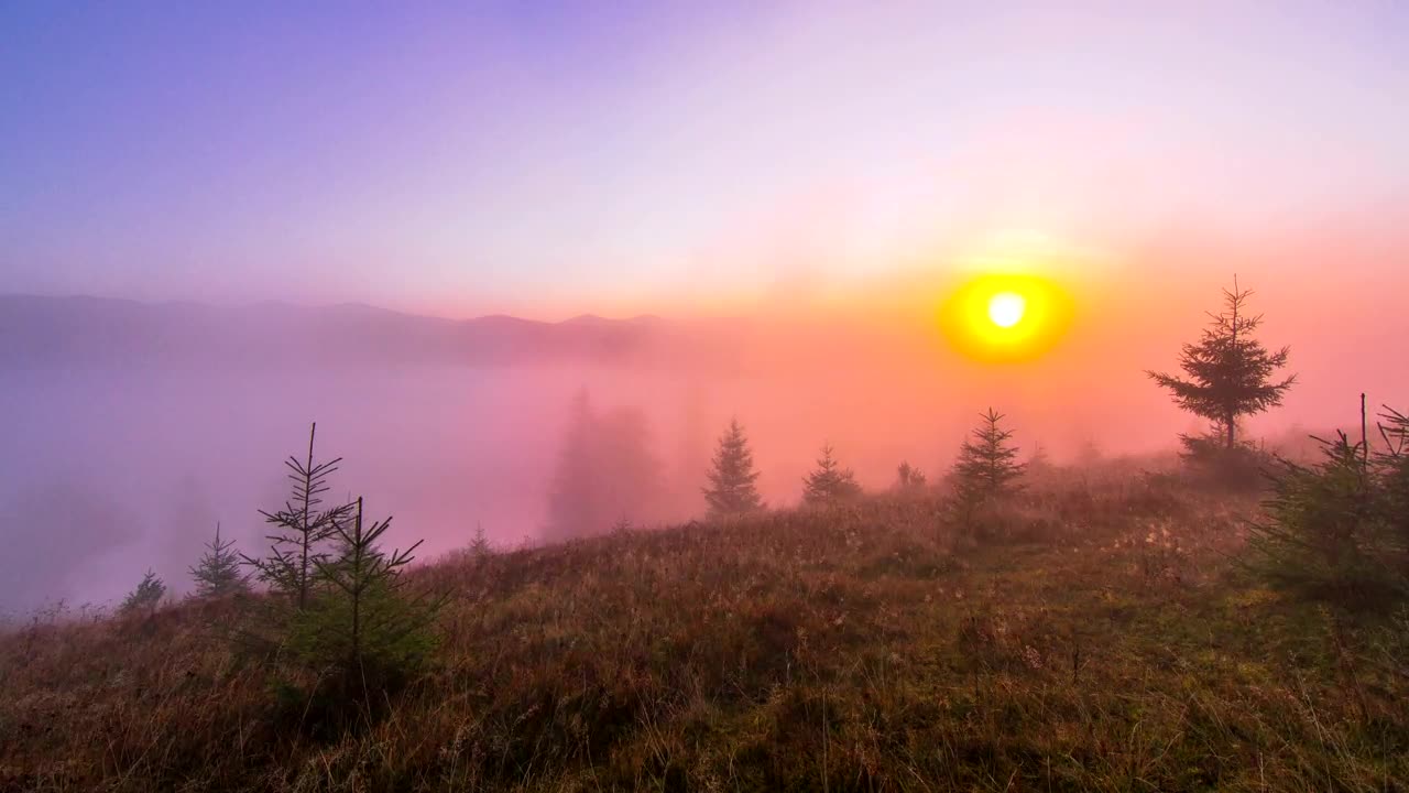 Stock Video Misty Morning In The Mountain Animated Wallpaper