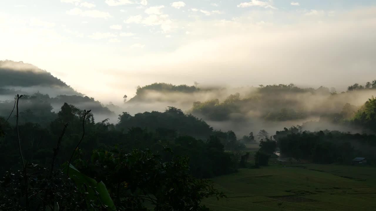 Stock Video Misty Hills And Rice Field Animated Wallpaper