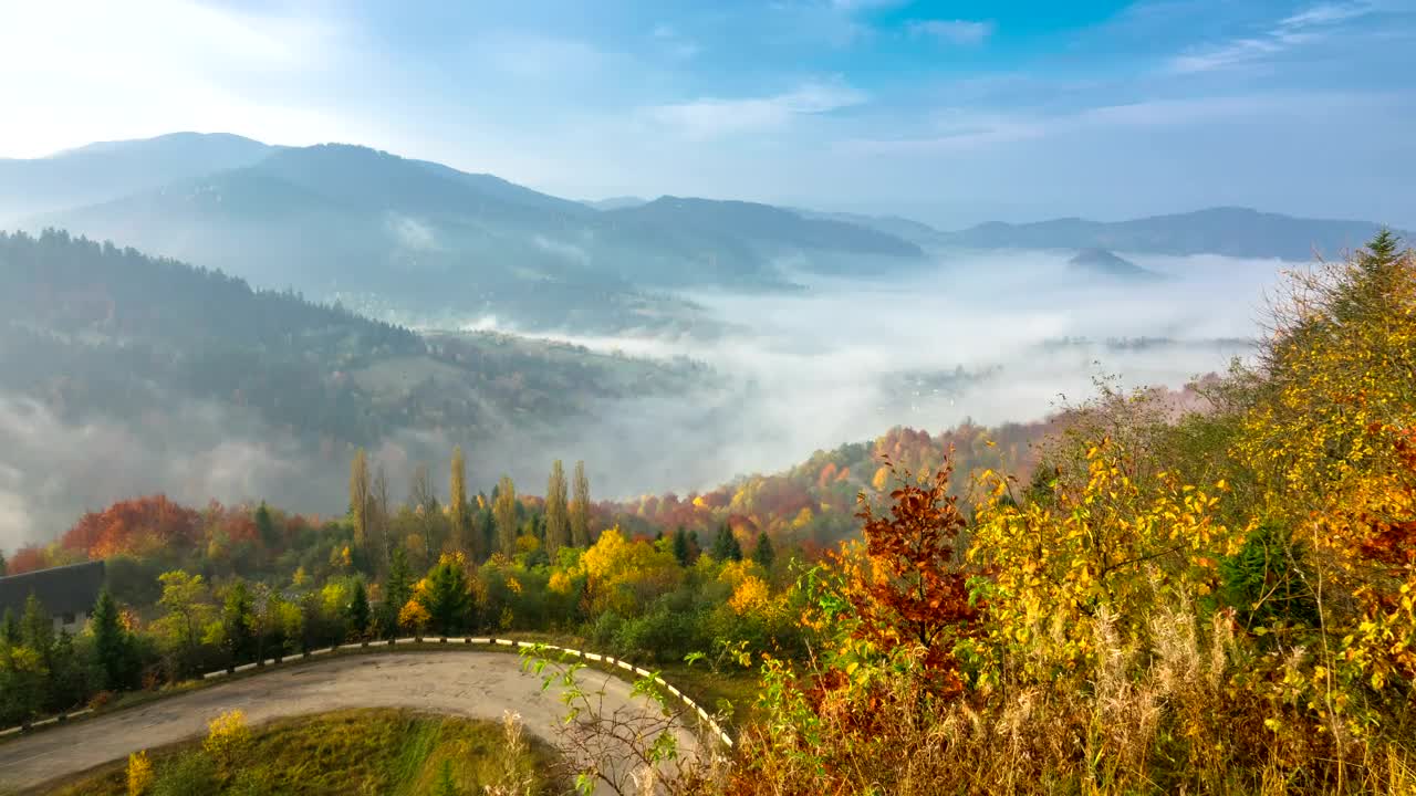 Stock Video Misty Morning In The Mountai Animated Wallpaper