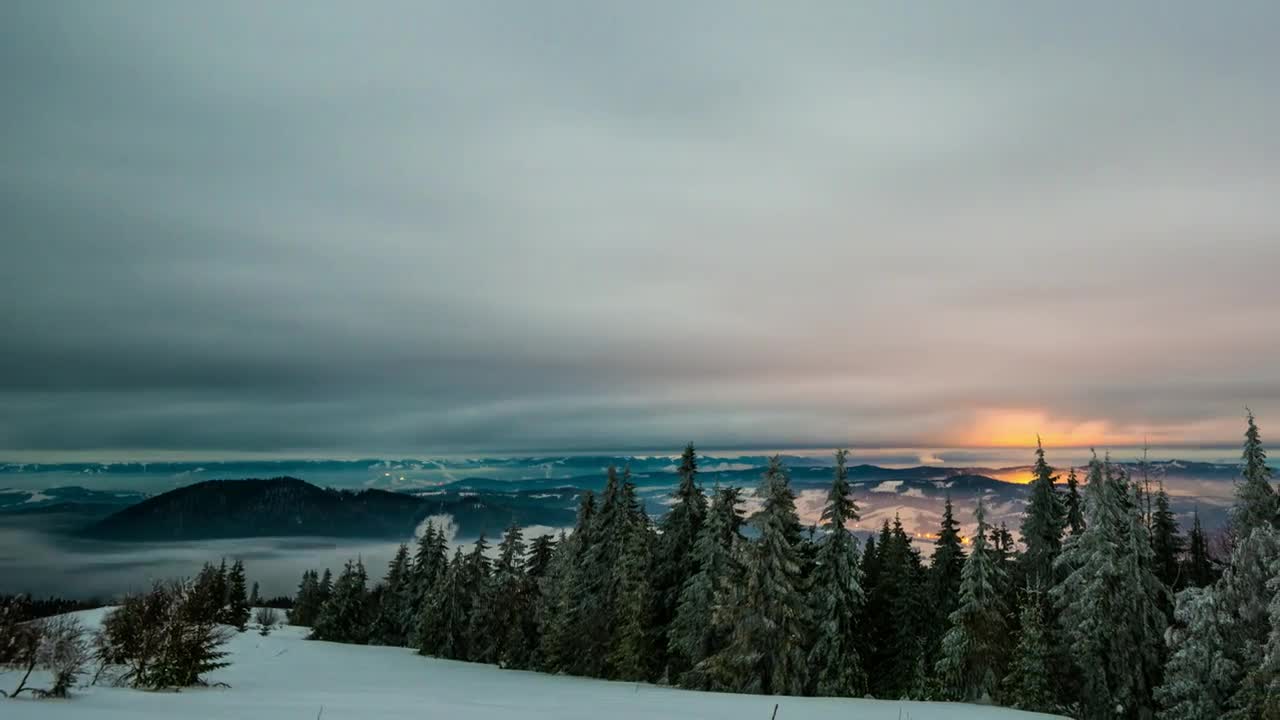 Stock Video Mist Storm In The Winter Fores Animated Wallpaper