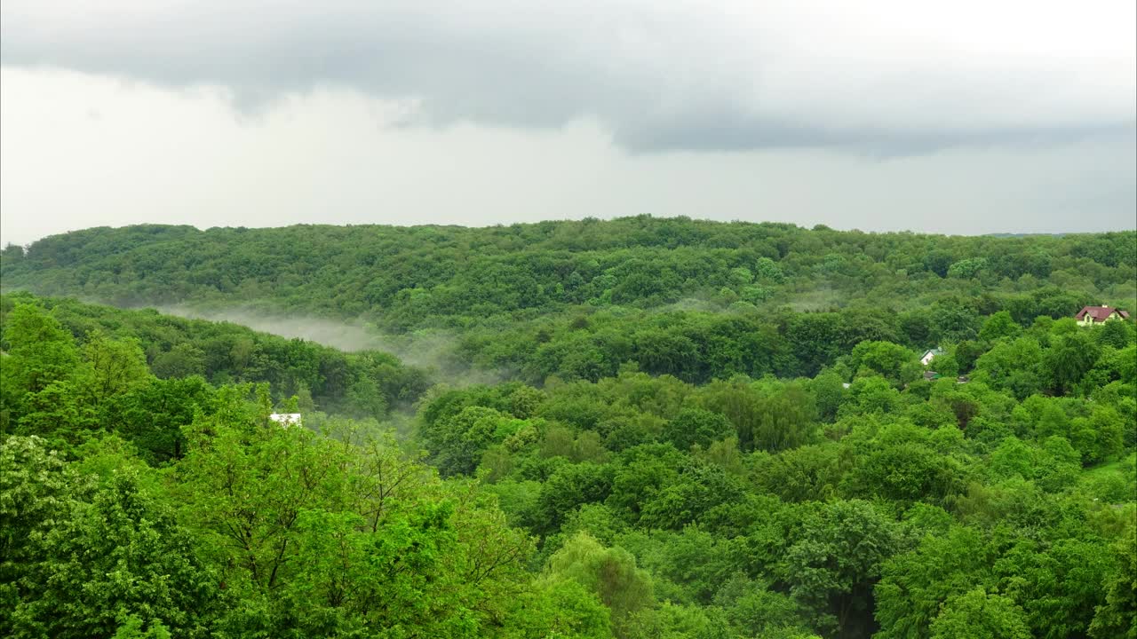 Stock Video Mist And Rain Over A Fores Animated Wallpaper