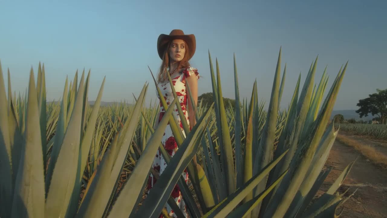 Stock Video Mexican Style Girl In A Maguey Fiel Animated Wallpaper