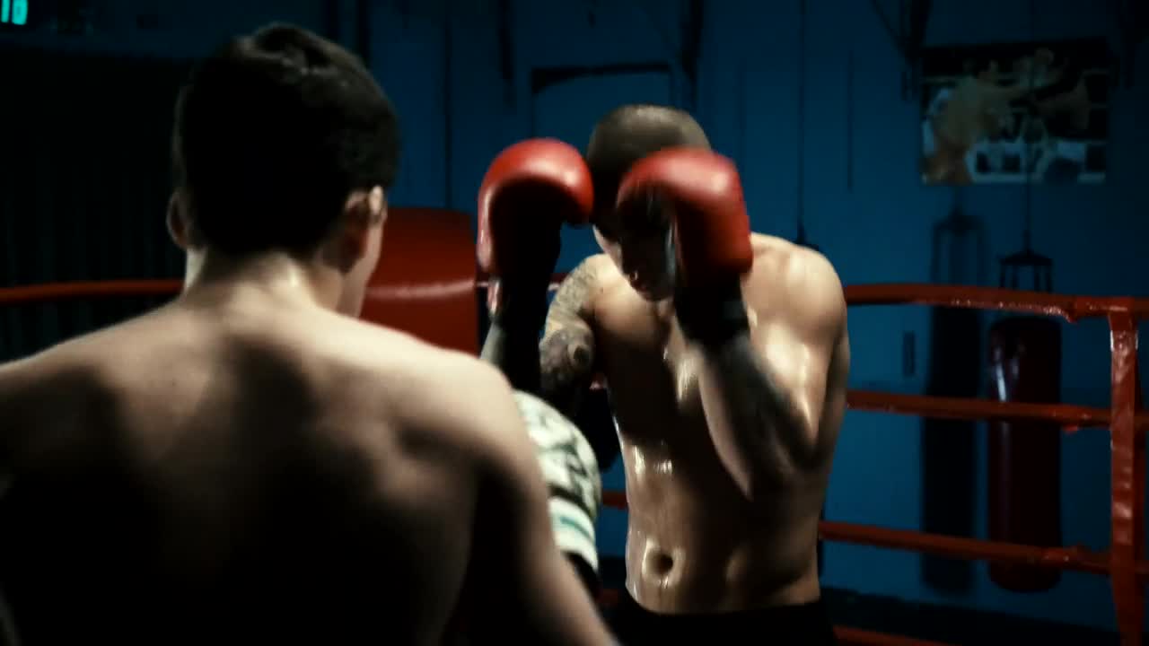 Stock Video Men Fighting On The Rin Animated Wallpaper