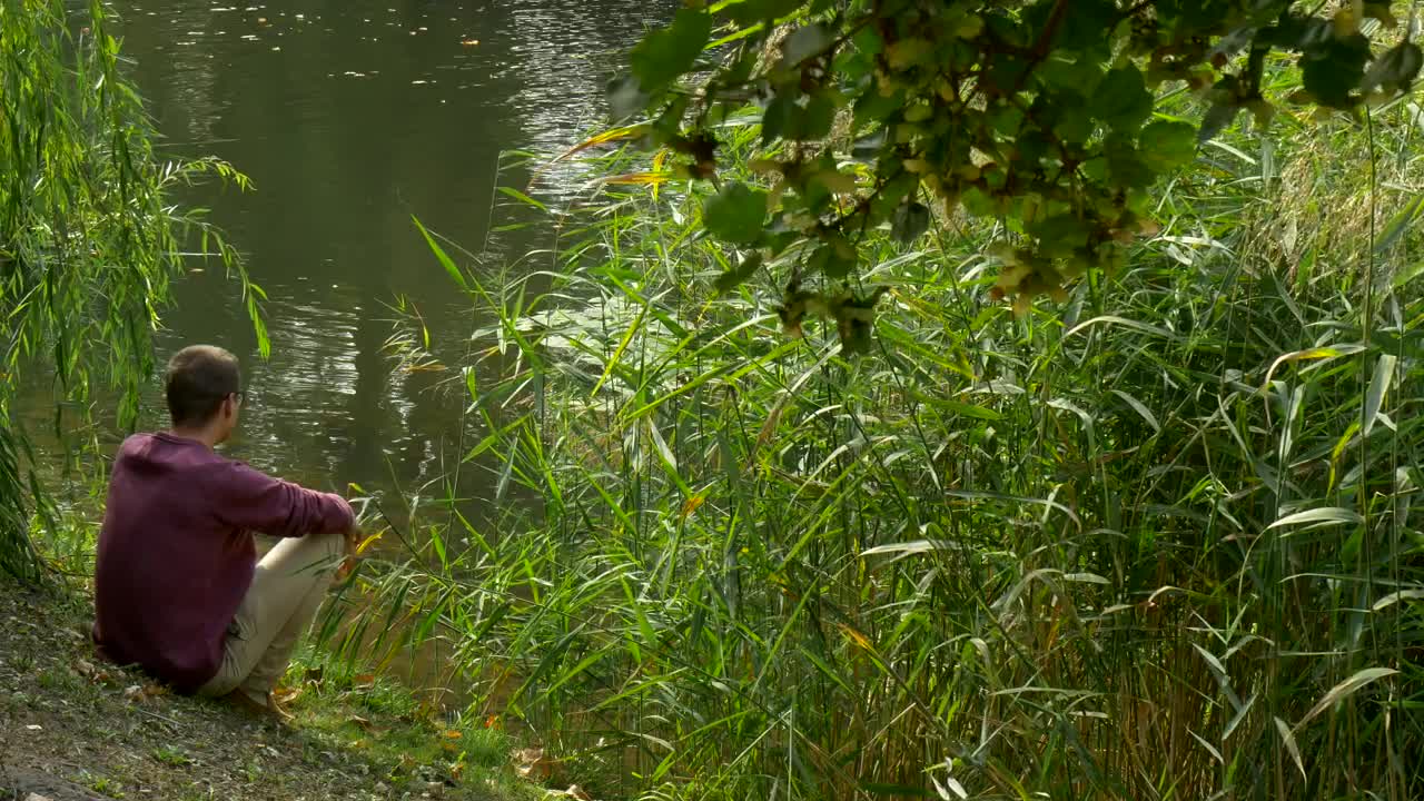 Stock Video Meditative Man Sitting On The Shore Of A Lak Animated Wallpaper
