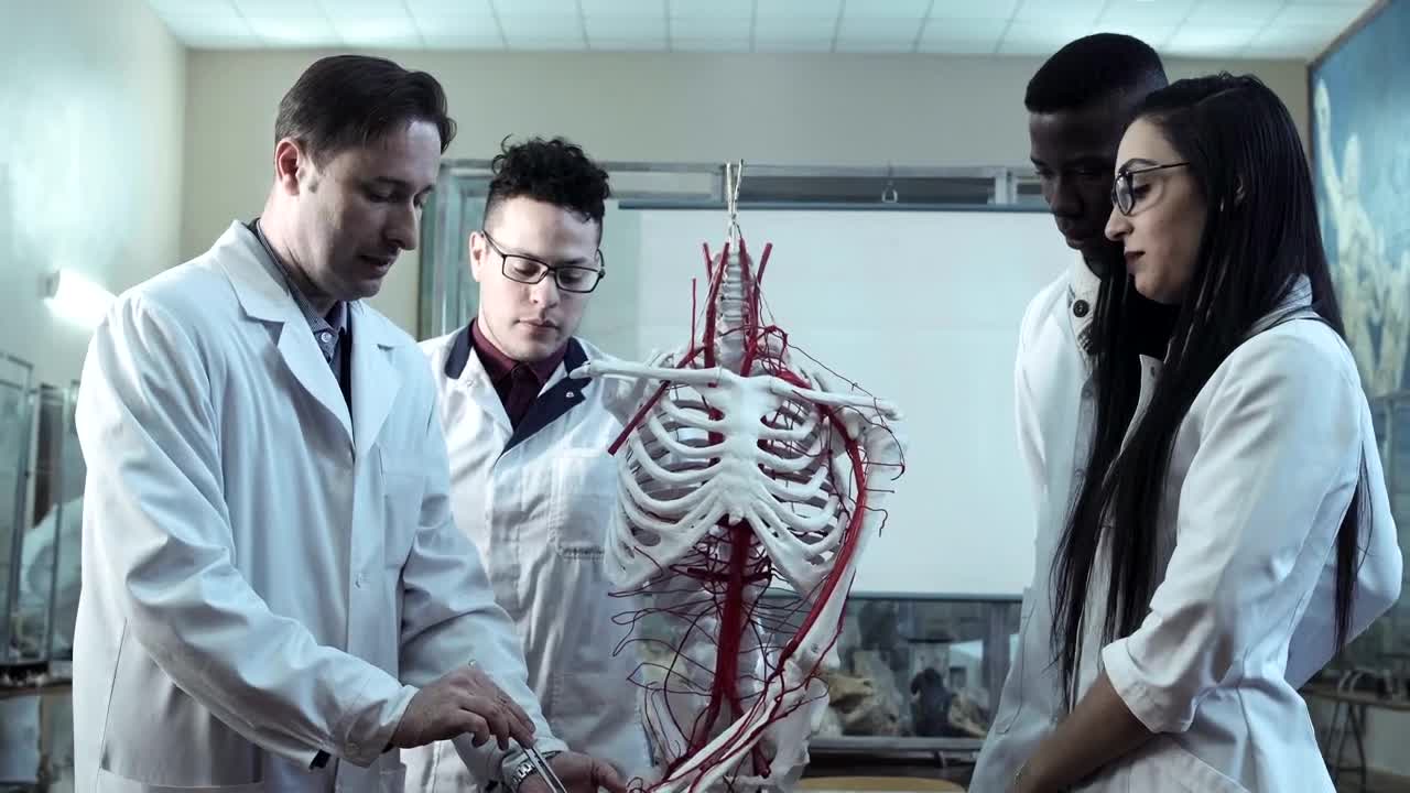 Stock Video Medical Students At Anatomy Lecture In An Universit Animated Wallpaper