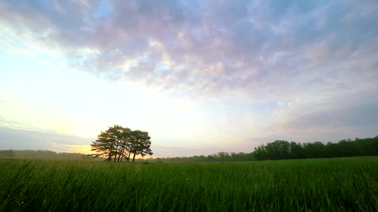 Stock Video Meadow Landscap Animated Wallpaper