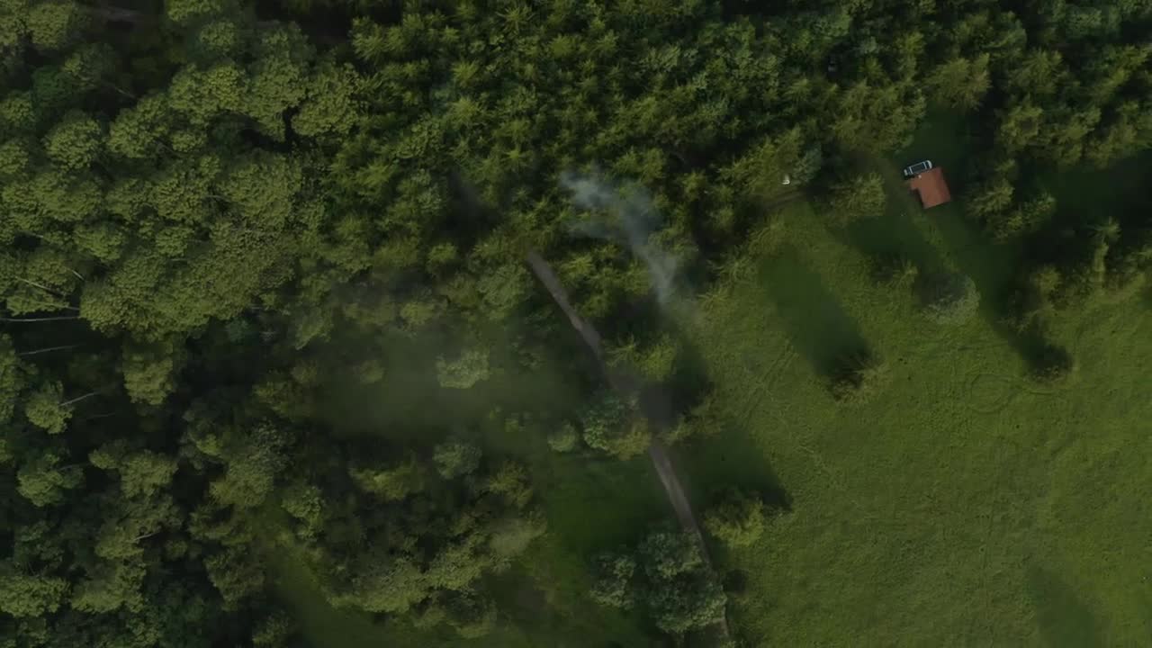 Stock Video Meadow In The Middle Of A Forest Seen From Abov Animated Wallpaper