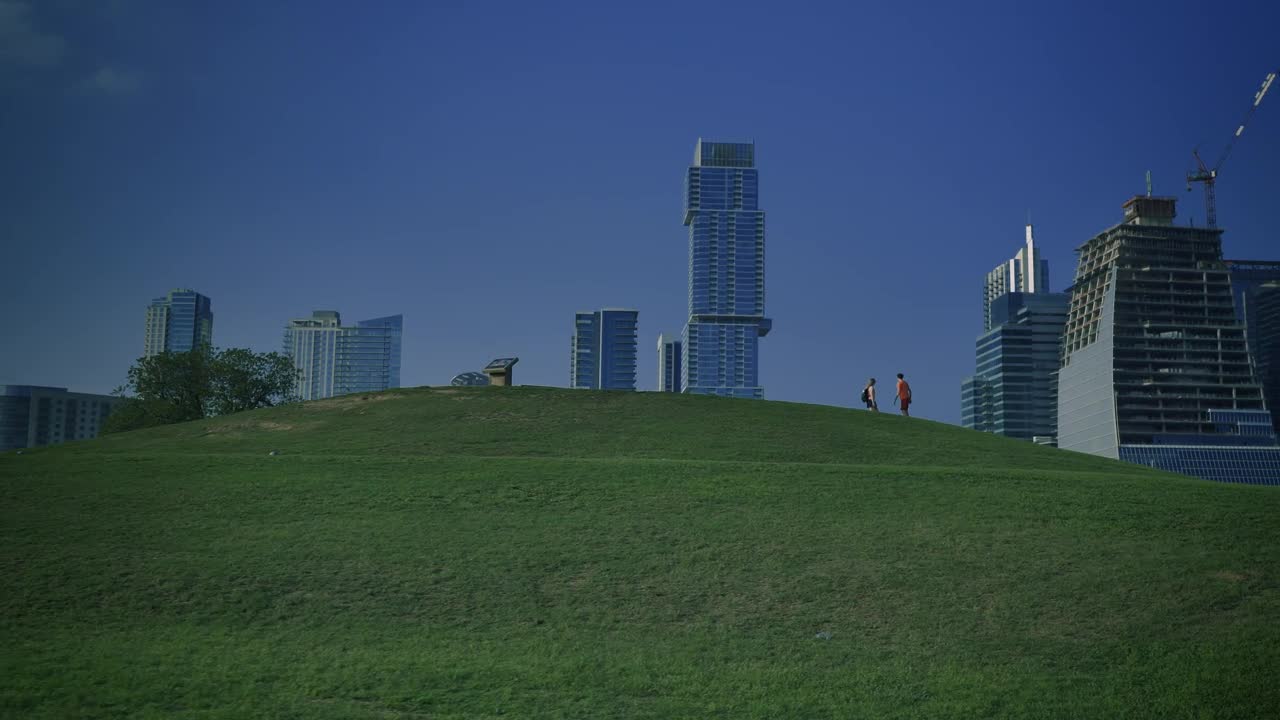 Stock Video Meadow In A Park Surrounded By A Big Cit Animated Wallpaper