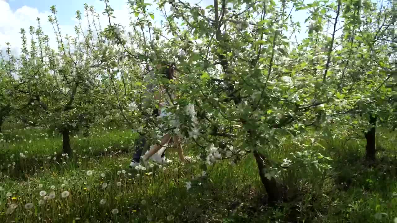 Stock Video Married Couple Running Through Tree Animated Wallpaper