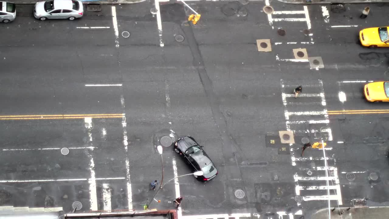 Stock Video Manhattan Avenue With Traffi Animated Wallpaper