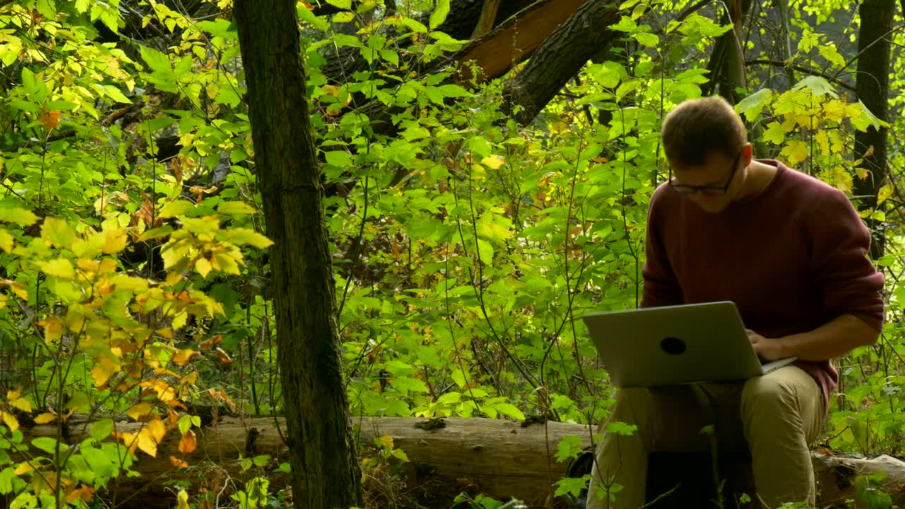 Stock Video Man With Laptop Sitting On A Fallen Tre Animated Wallpaper