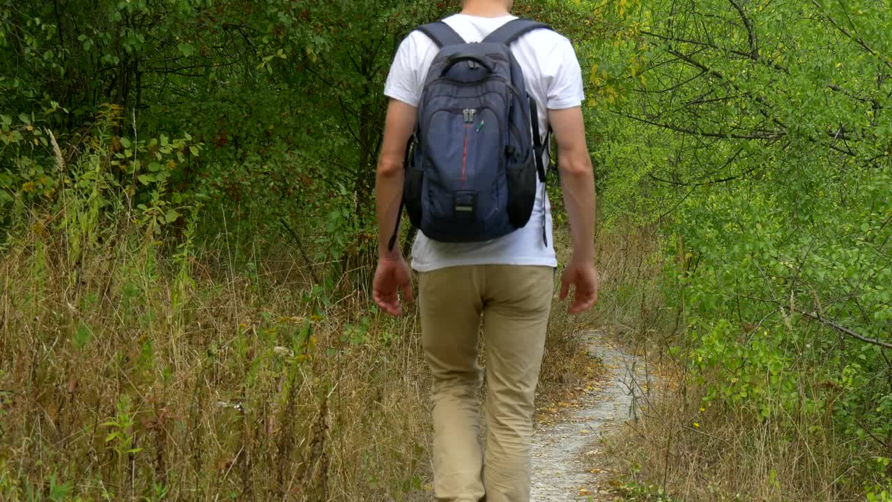 Stock Video Man With Backpack Walking On A Forest Pat Animated Wallpaper