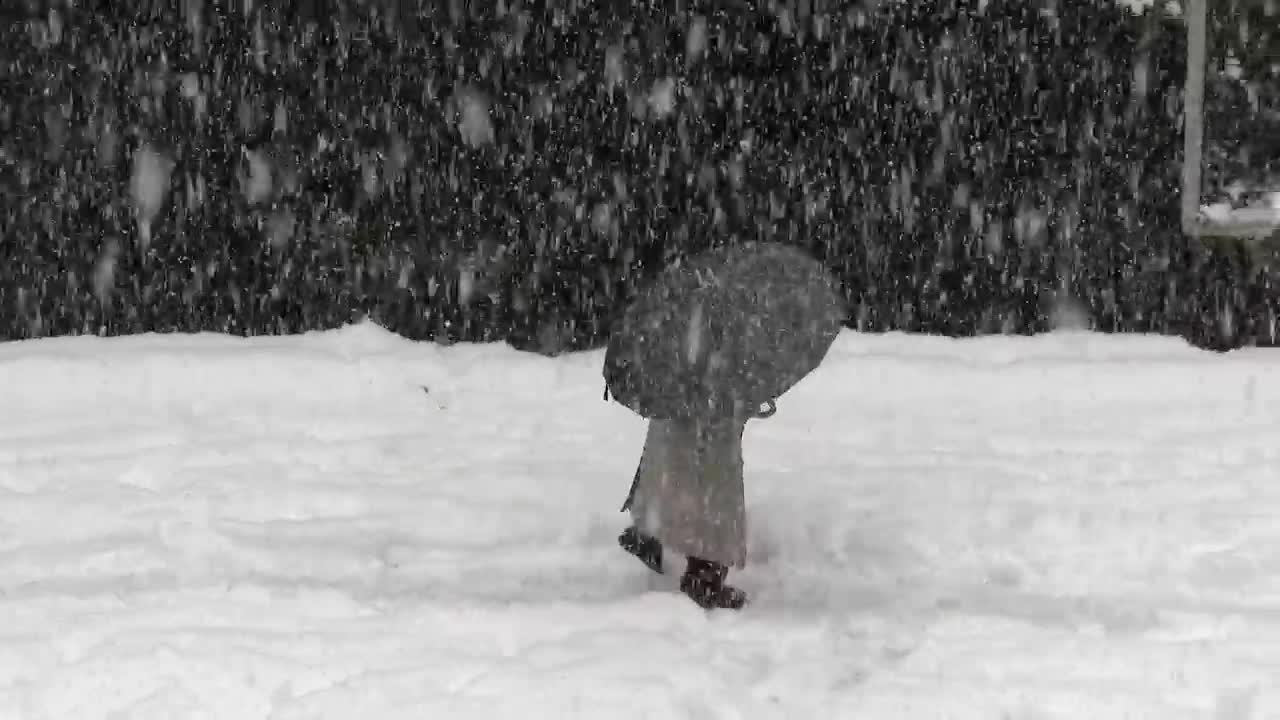 Stock Video Man With An Umbrella Walking In The Sno Animated Wallpaper
