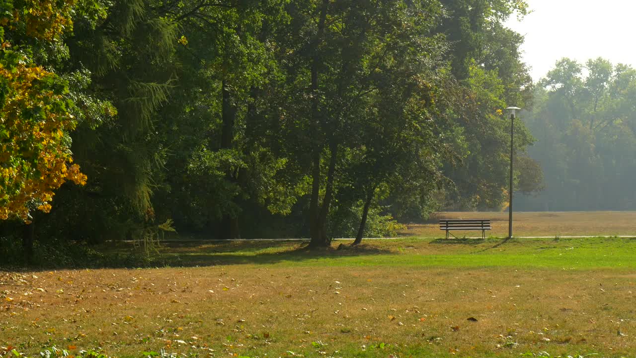 Stock Video Man With A Bicycle In The Par Animated Wallpaper