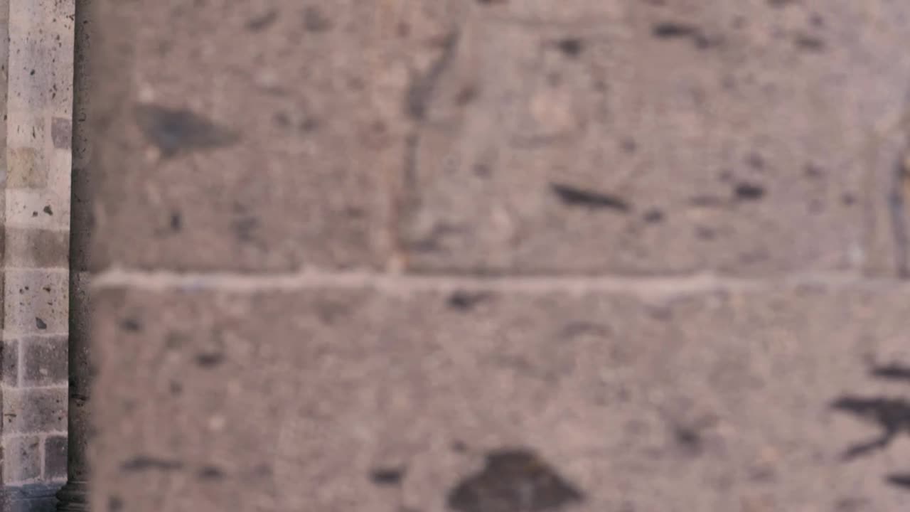 Stock Video Man Walks As He Plays An Accordio Animated Wallpaper