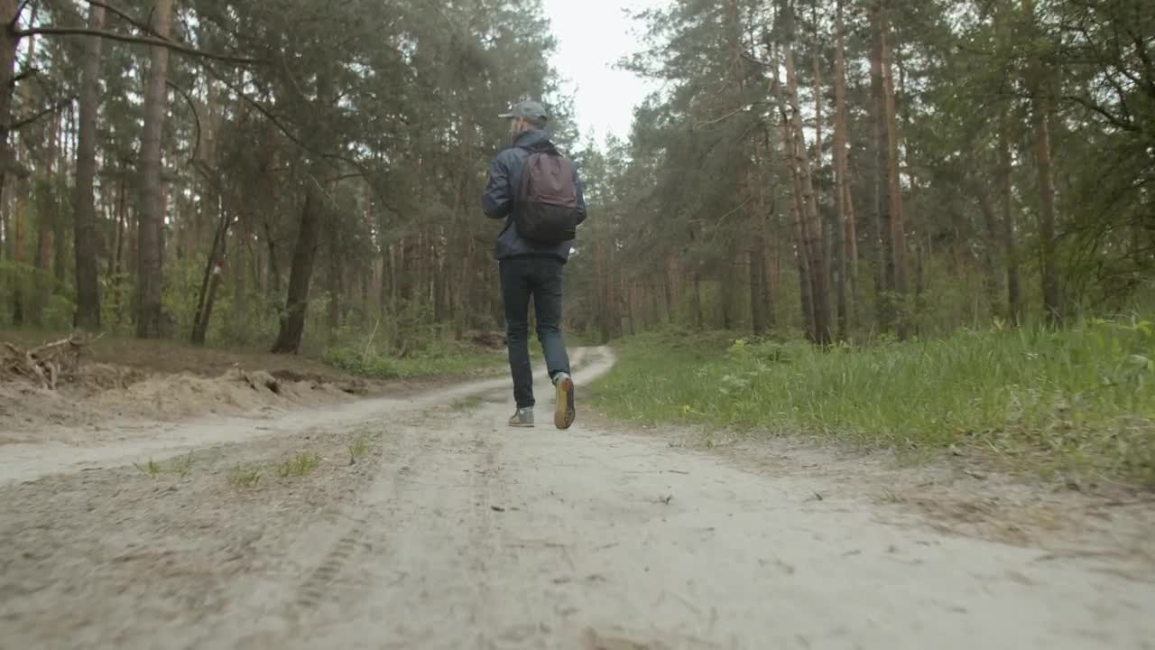 Stock Video Man Walking Through The Wood Animated Wallpaper