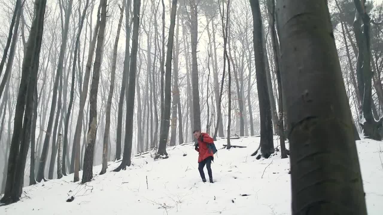 Stock Video Man Walking Through The Snow In The Wood Animated Wallpaper