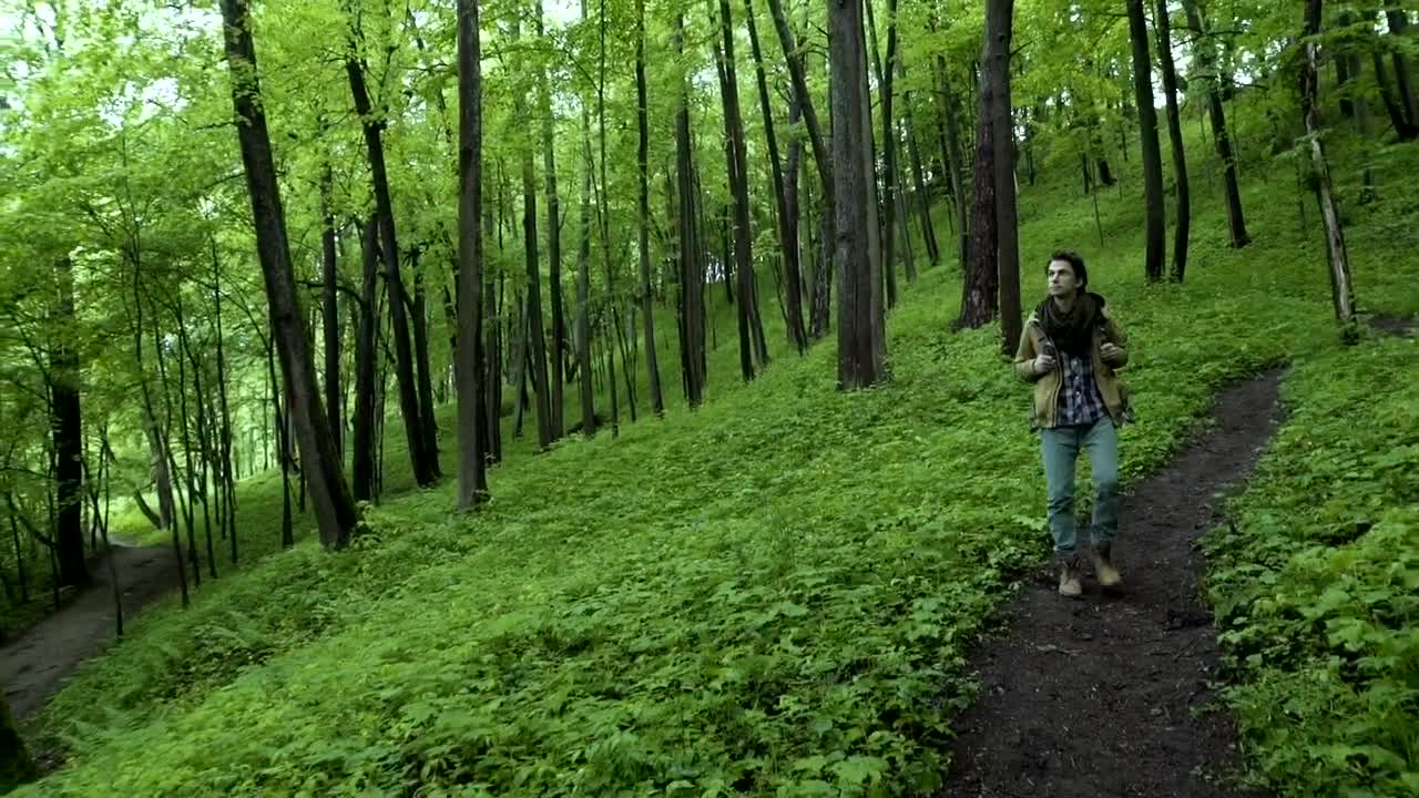 Stock Video Man Walking Through The Path In A Green Fores Animated Wallpaper