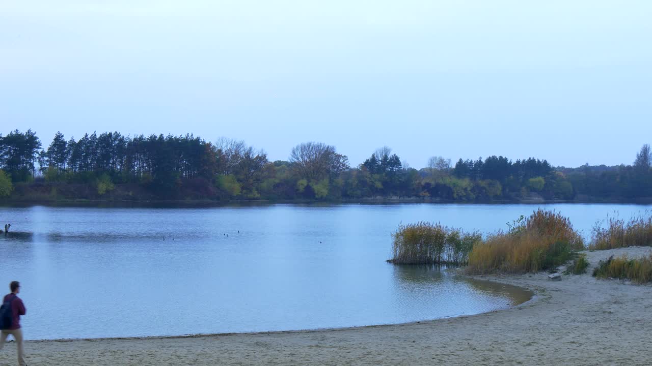 Stock Video Man Walking In The River Shor Animated Wallpaper