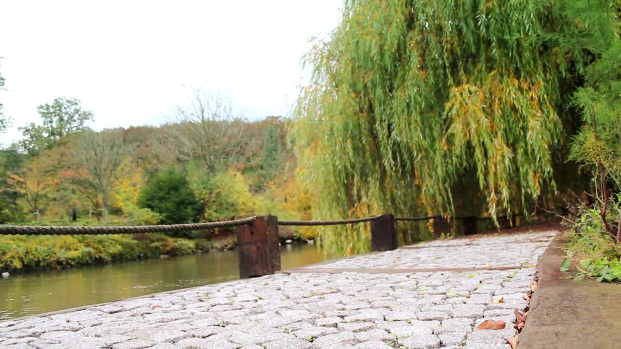 Stock Video Man Walking In A Park By A Rive Animated Wallpaper