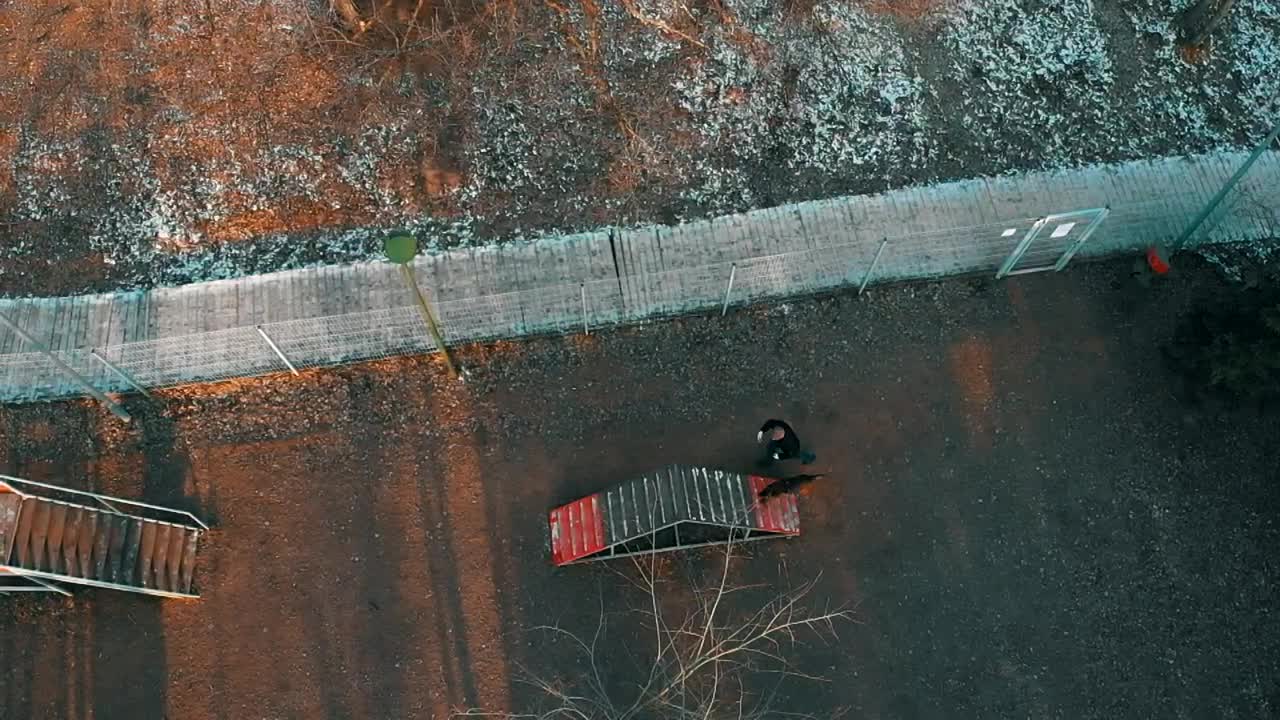 Stock Video Man Walking His Dog In A Park Aerial Sho Animated Wallpaper