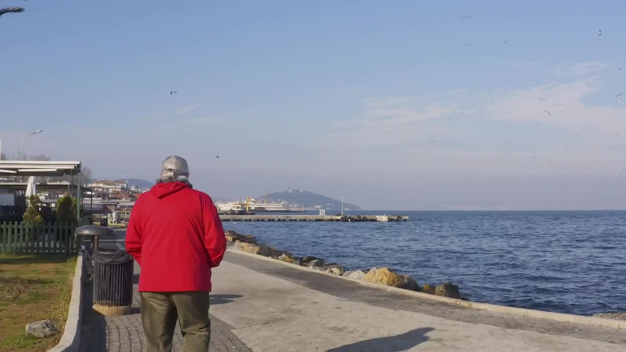 Stock Video Man Walking By The Ocea Animated Wallpaper