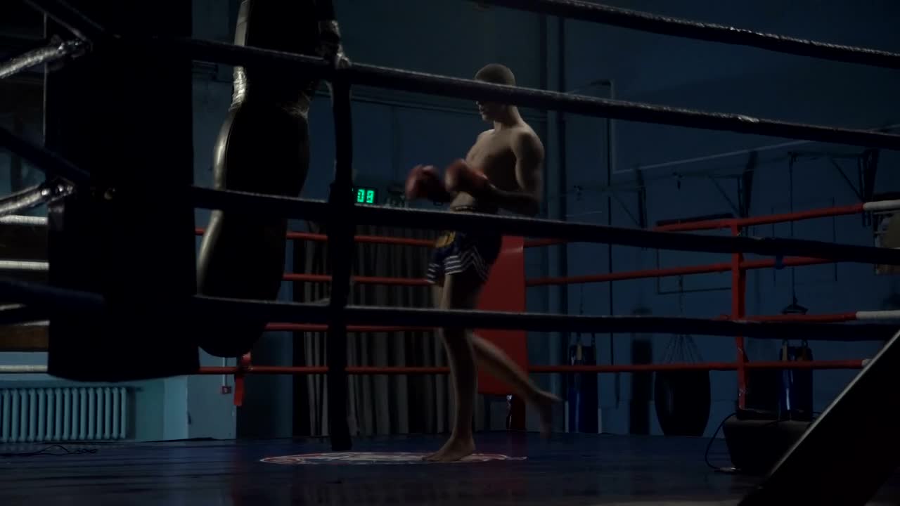 Stock Video Man Training With Punching Bag In The Rin Animated Wallpaper