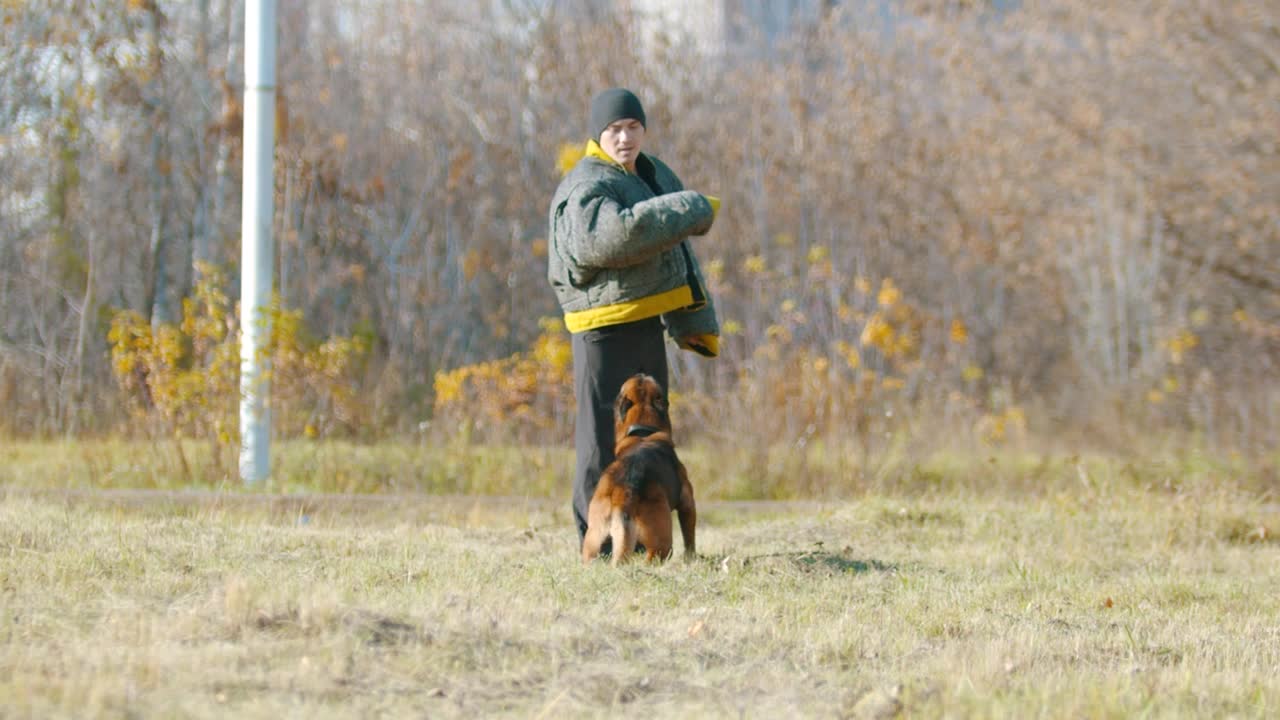 Stock Video Man Training A Dog Outdoor Animated Wallpaper