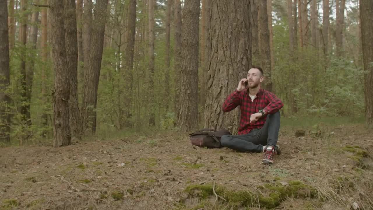 Stock Video Man Talking On The Phone In A Fores Animated Wallpaper