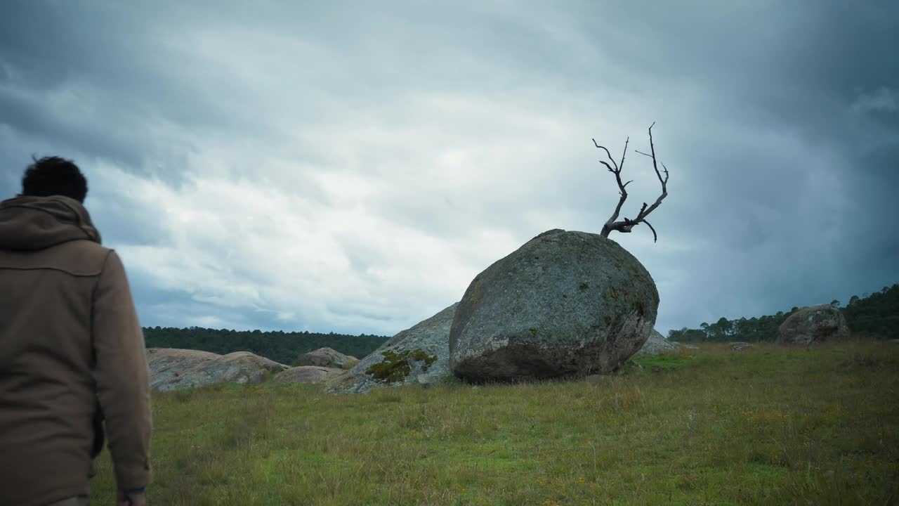 Stock Video Man Taking Pictures Of A Big Stone With His Phon Animated Wallpaper