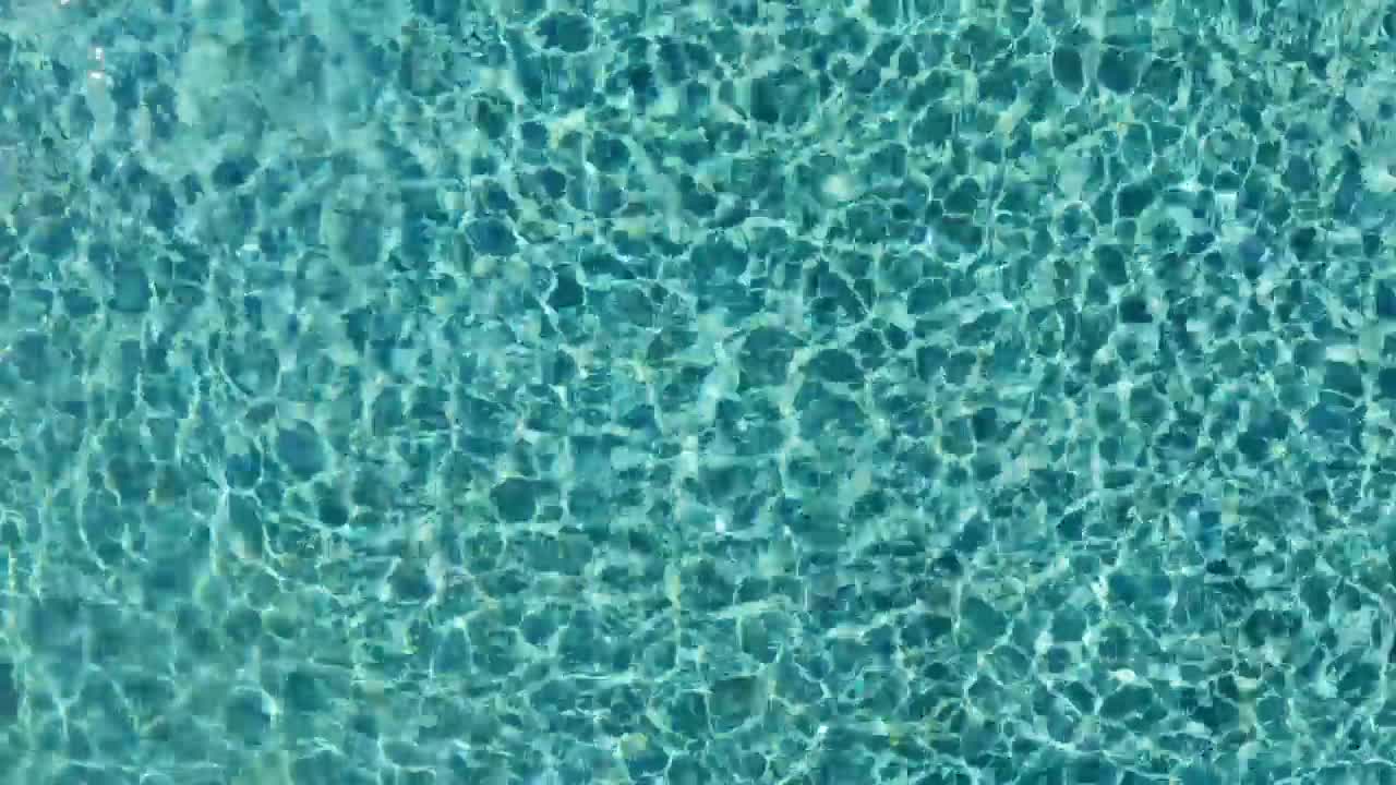 Stock Video Man Swimming Underwater In A Poo Animated Wallpaper