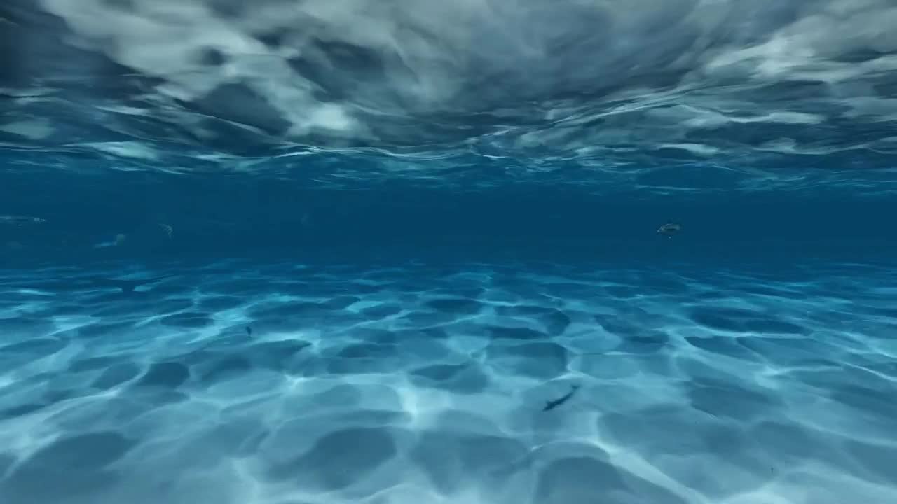 Stock Video Man Swimming Under The Gentle Waves Of The Se Animated Wallpaper
