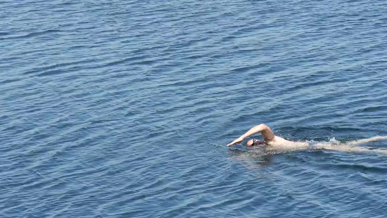 Stock Video Man Swimming In The Lak Animated Wallpaper