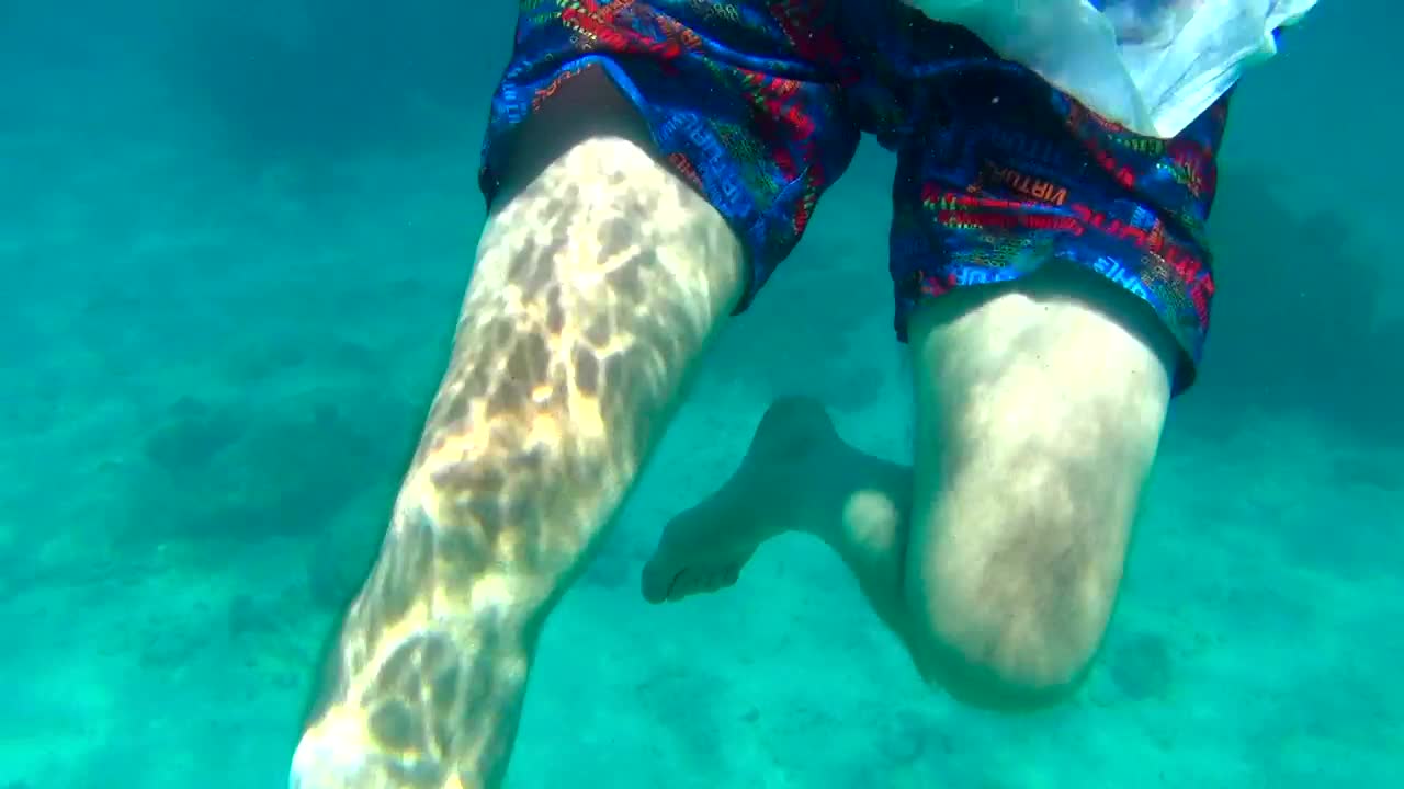 Stock Video Man Swimming In Turquoise Wate Animated Wallpaper