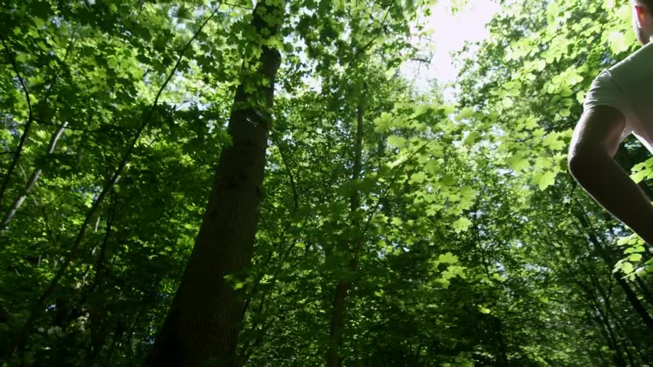 Stock Video Man Standing In A Forest After Runnin Animated Wallpaper
