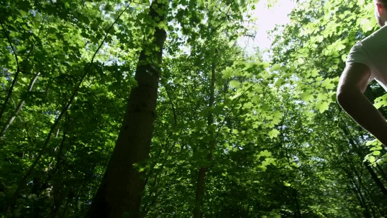 Stock Video Man Standing In A Fores Animated Wallpaper