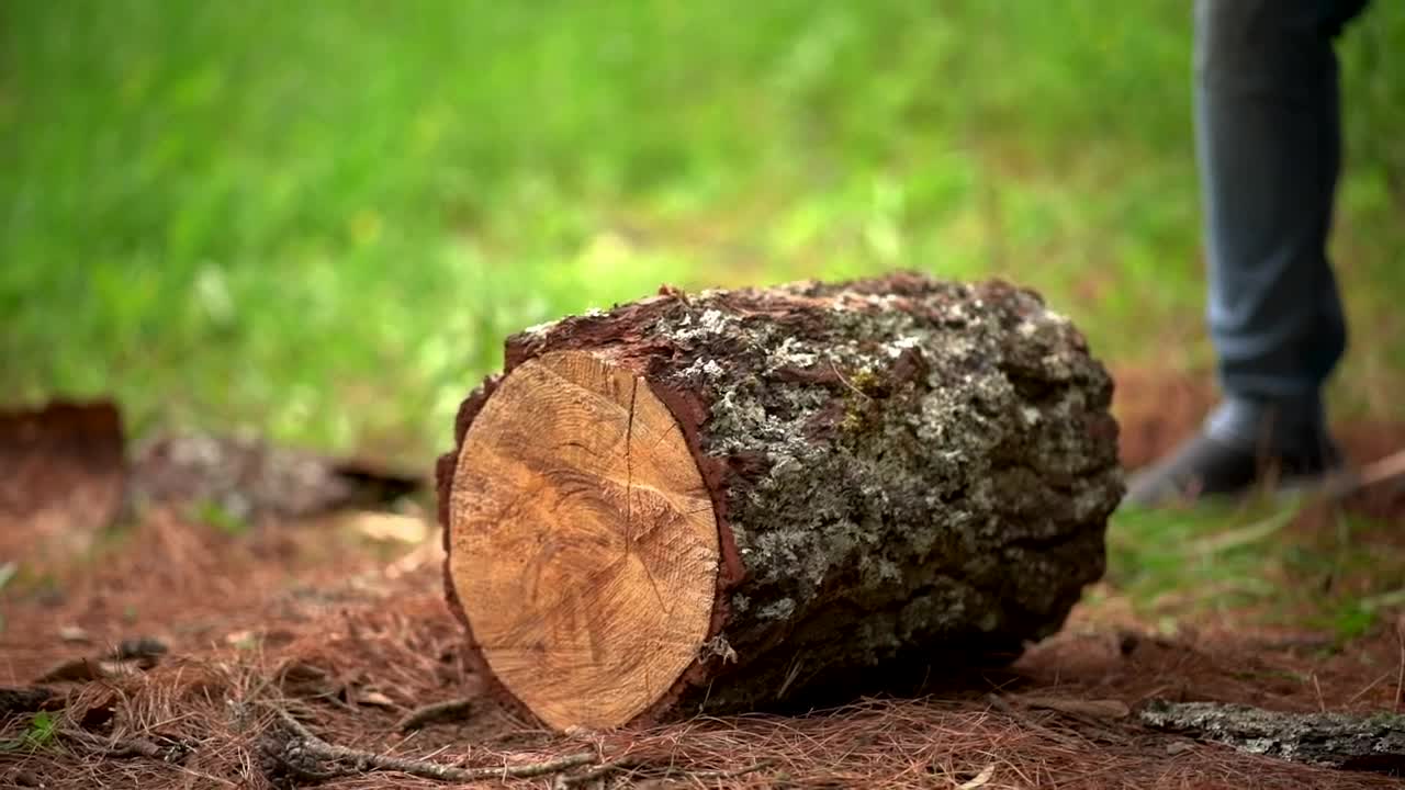 Stock Video Man Splitting A Piece Of Log With An A Animated Wallpaper