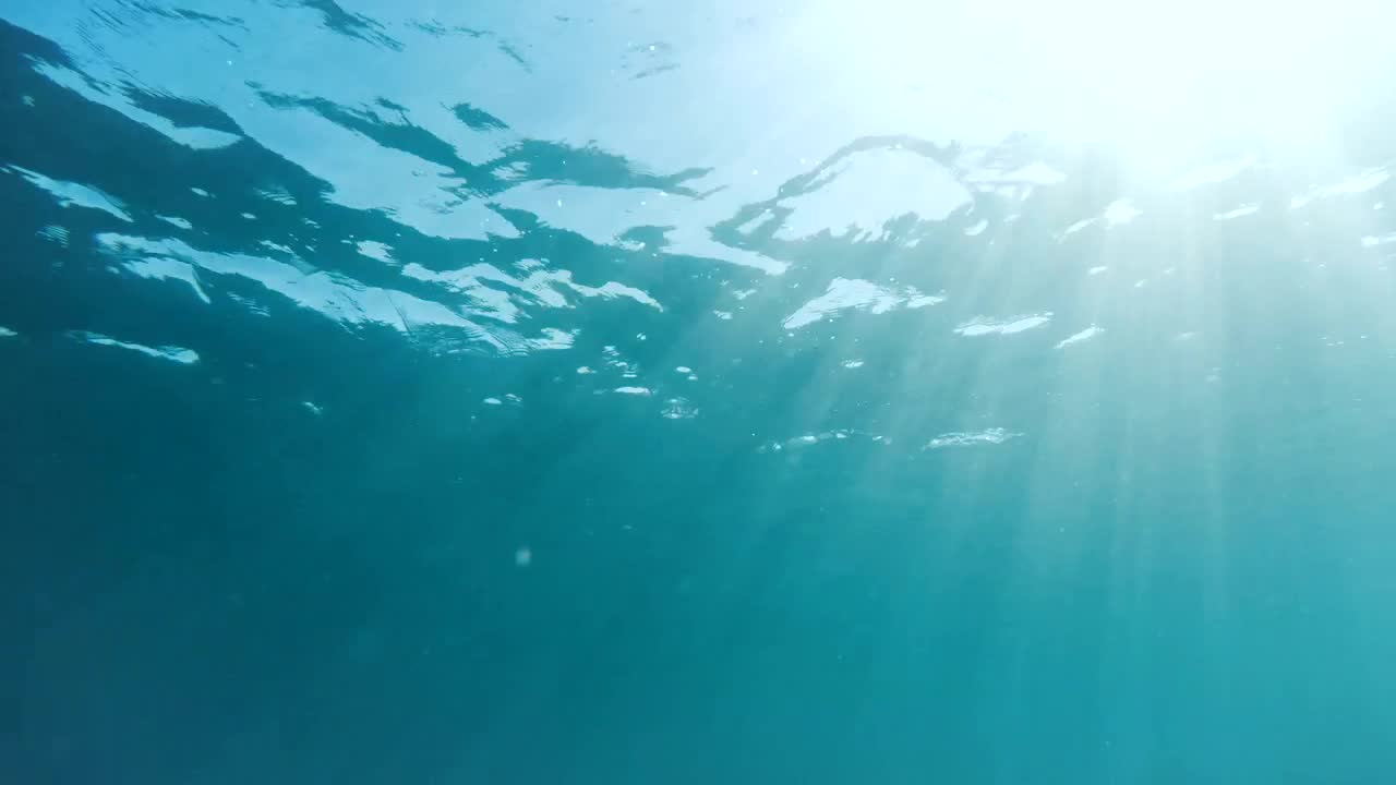 Stock Video Man Snorkeling In The Ocea Animated Wallpaper