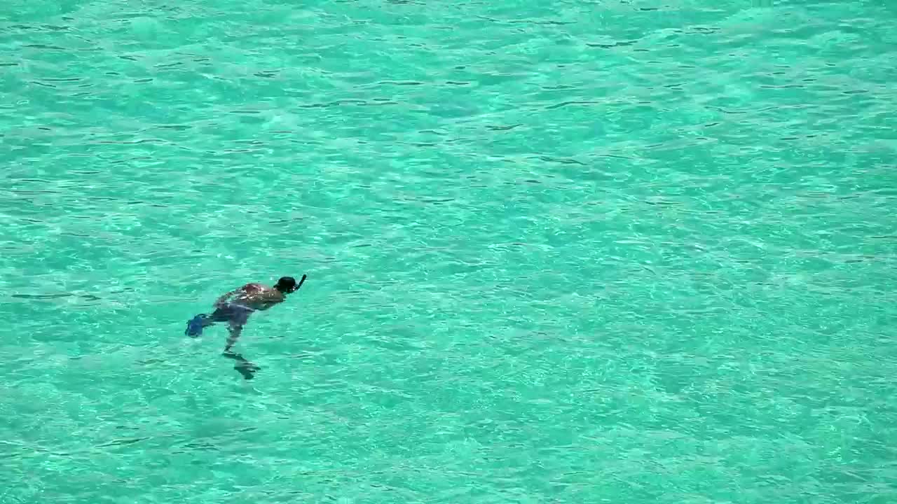 Stock Video Man Snorkeling In Crystal Water Animated Wallpaper