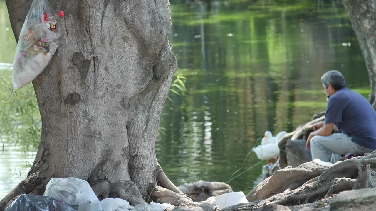 Stock Video Man Sitting On The Bank Of A River With Duck Animated Wallpaper