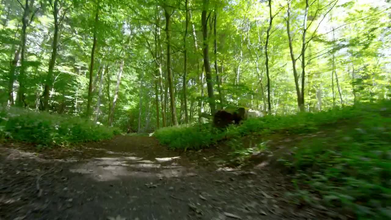 Stock Video Man Running On A Sunny Da Animated Wallpaper