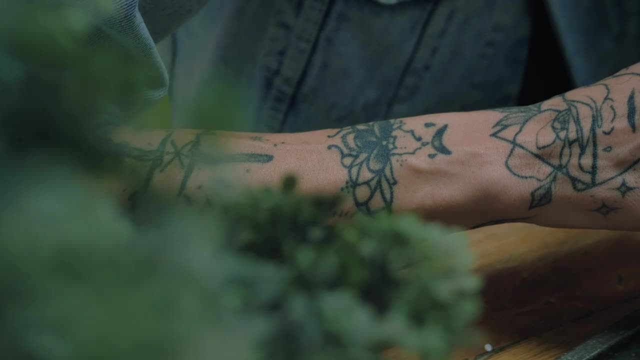 Stock Video Man Rolling A Join Animated Wallpaper