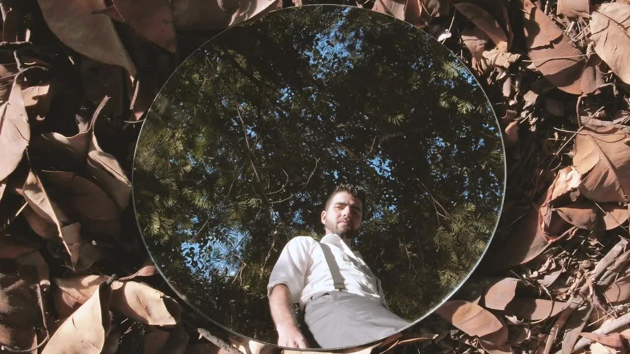 Stock Video Man Reflected In A Mirror On Dry Leave Animated Wallpaper
