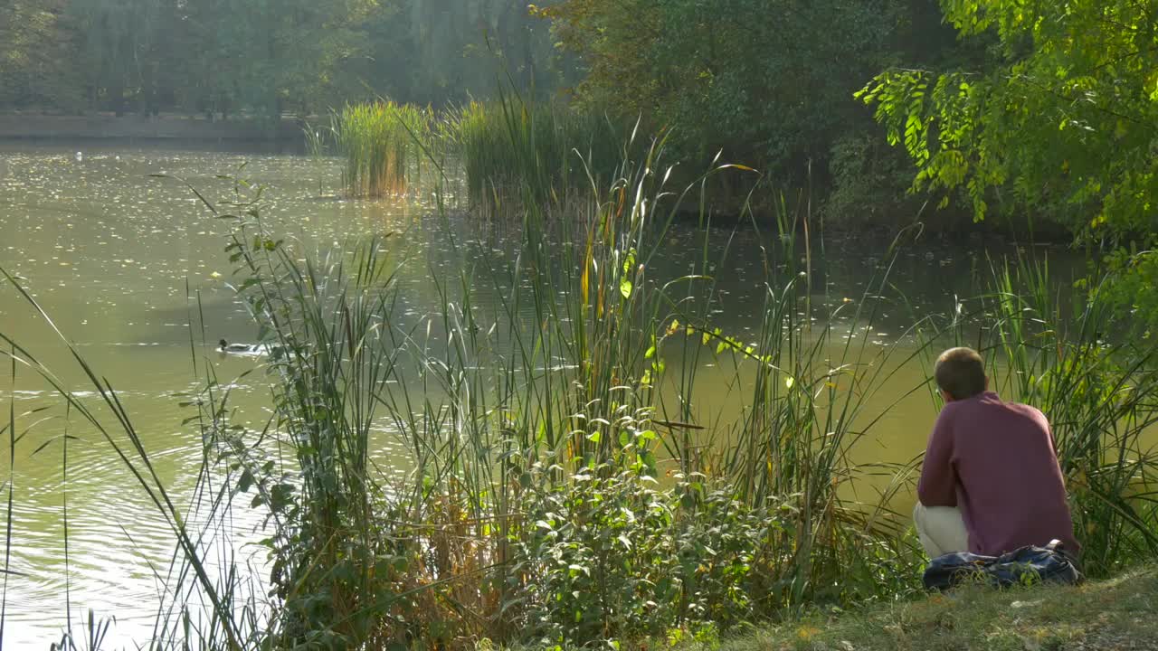 Stock Video Man Reading A Book By The Lak Animated Wallpaper