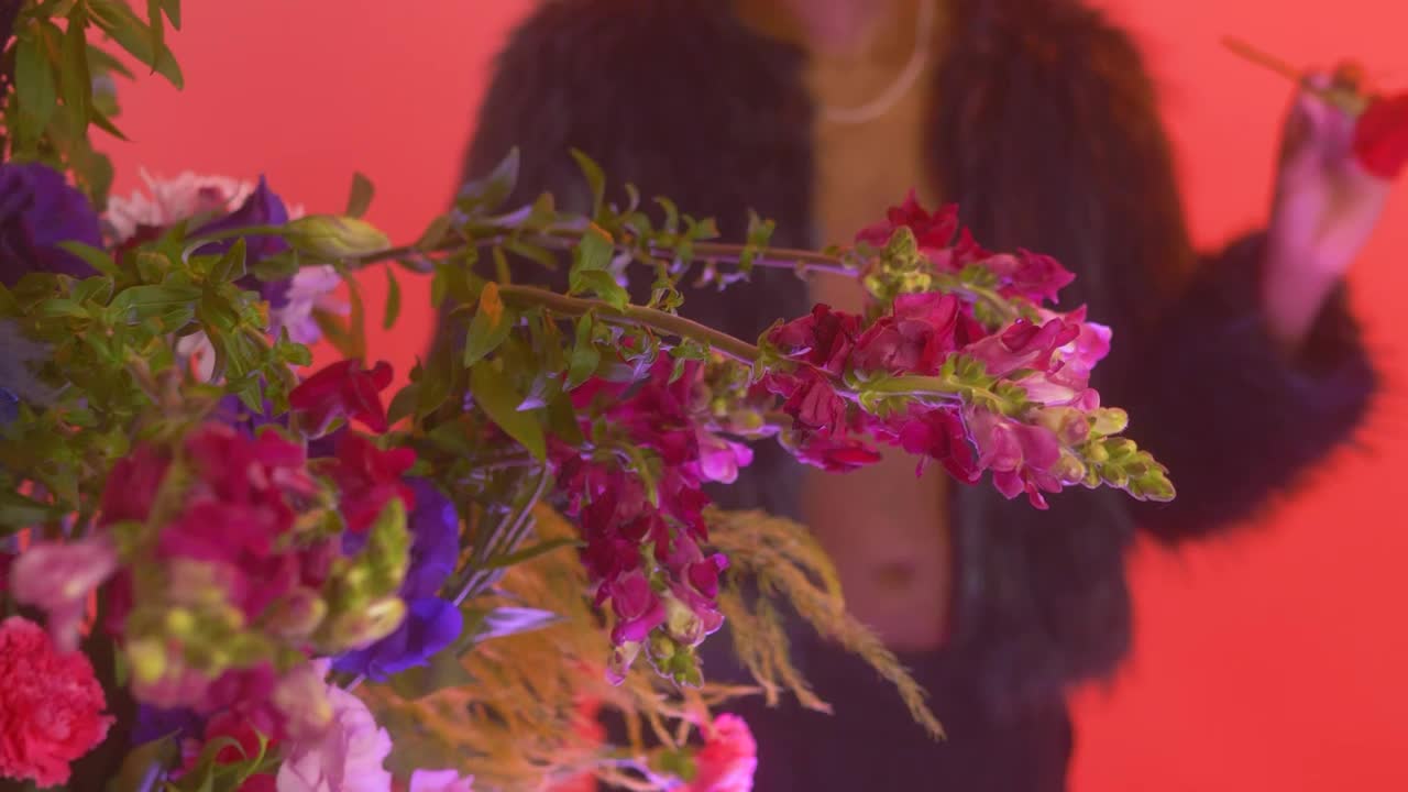 Stock Video Man Placing A Rose On His Ear In A Feminin Animated Wallpaper